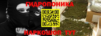 ПСИЛОЦИБИНОВЫЕ ГРИБЫ Свободный