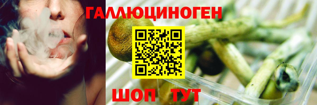 Советский  купить  цена  Вход с VPN  Псилоцибиновые грибы Psilocybine cubensis 